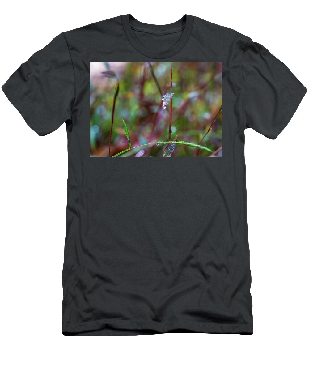 Water Drops T-Shirt featuring the photograph Morning Dew on Grass by Amelia Pearn