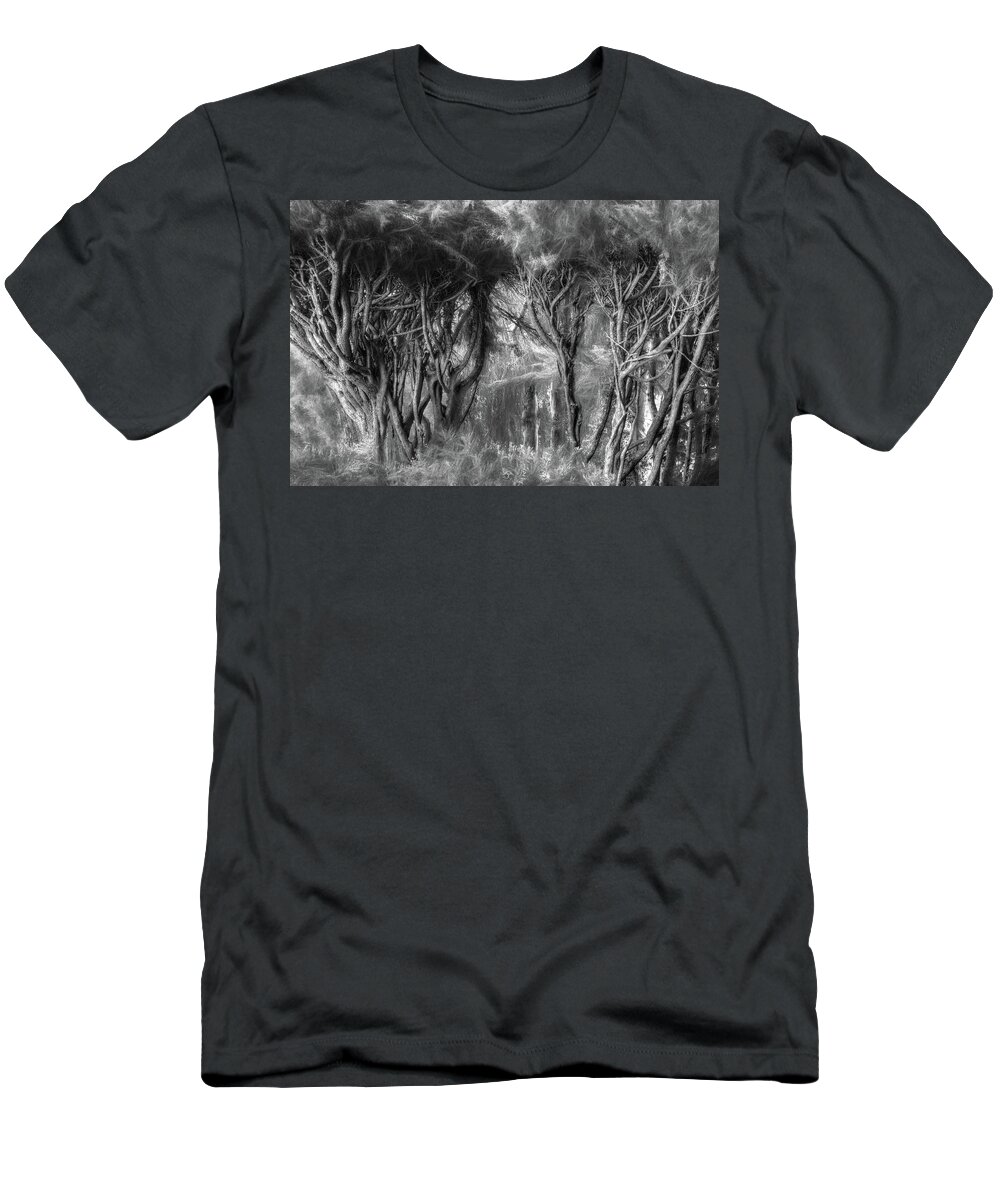 California T-Shirt featuring the photograph Morning Light in the Bay Forest by Wayne King