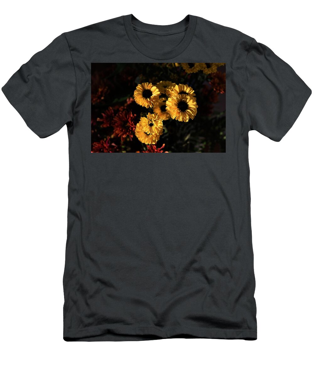 Nature T-Shirt featuring the photograph Morning Light on Yellow Mums by Sheila Brown