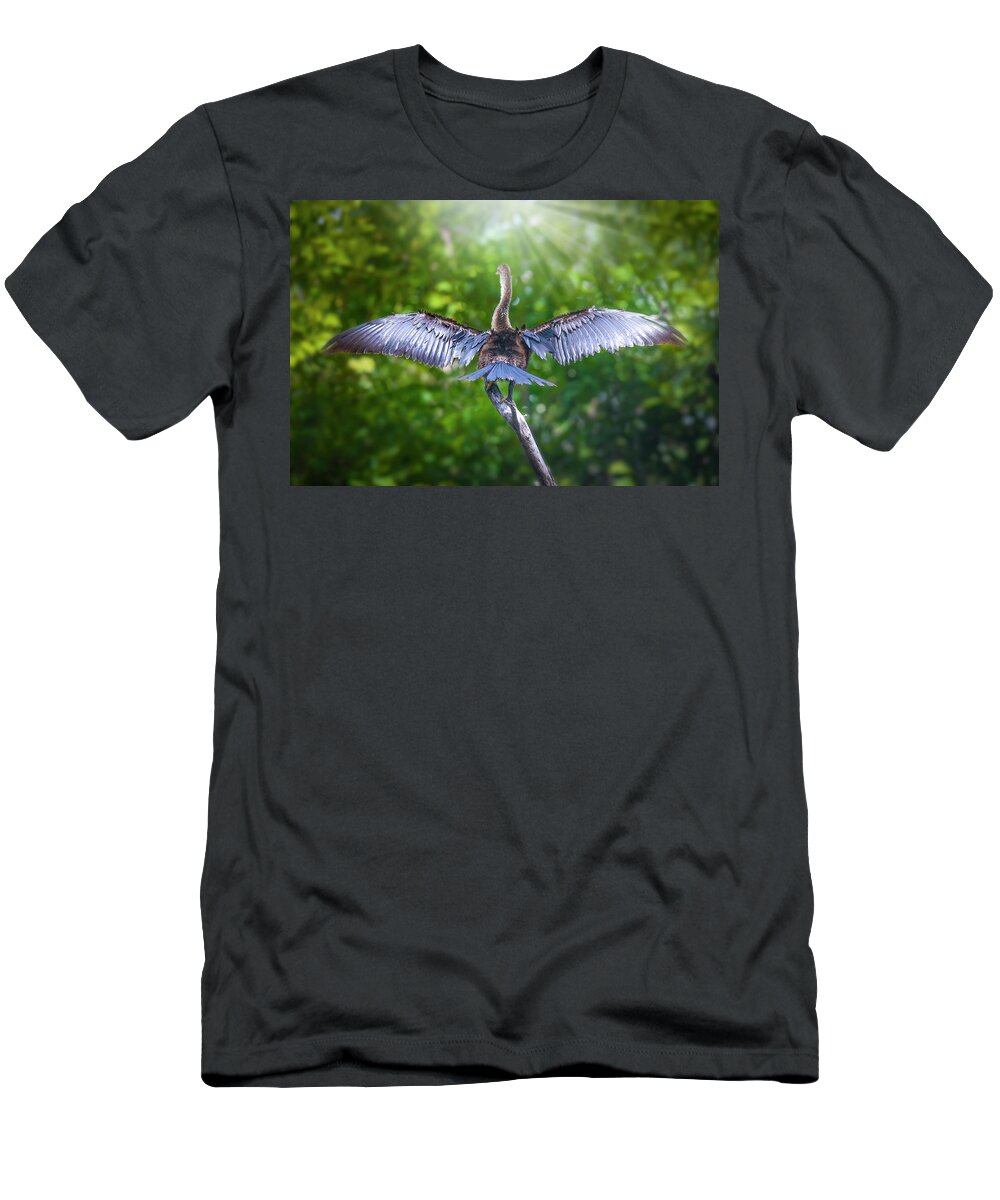Anhinga T-Shirt featuring the photograph Morning Meditation by Mark Andrew Thomas