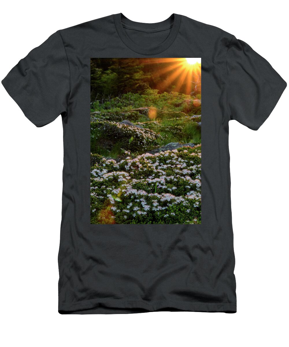 Blue Ridge Mountains T-Shirt featuring the photograph Morning Rays by Melissa Southern