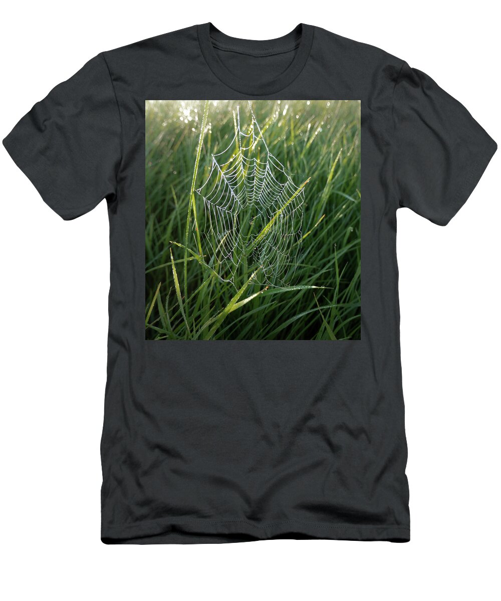 Spider T-Shirt featuring the photograph Morning Spider Web by Karen Rispin