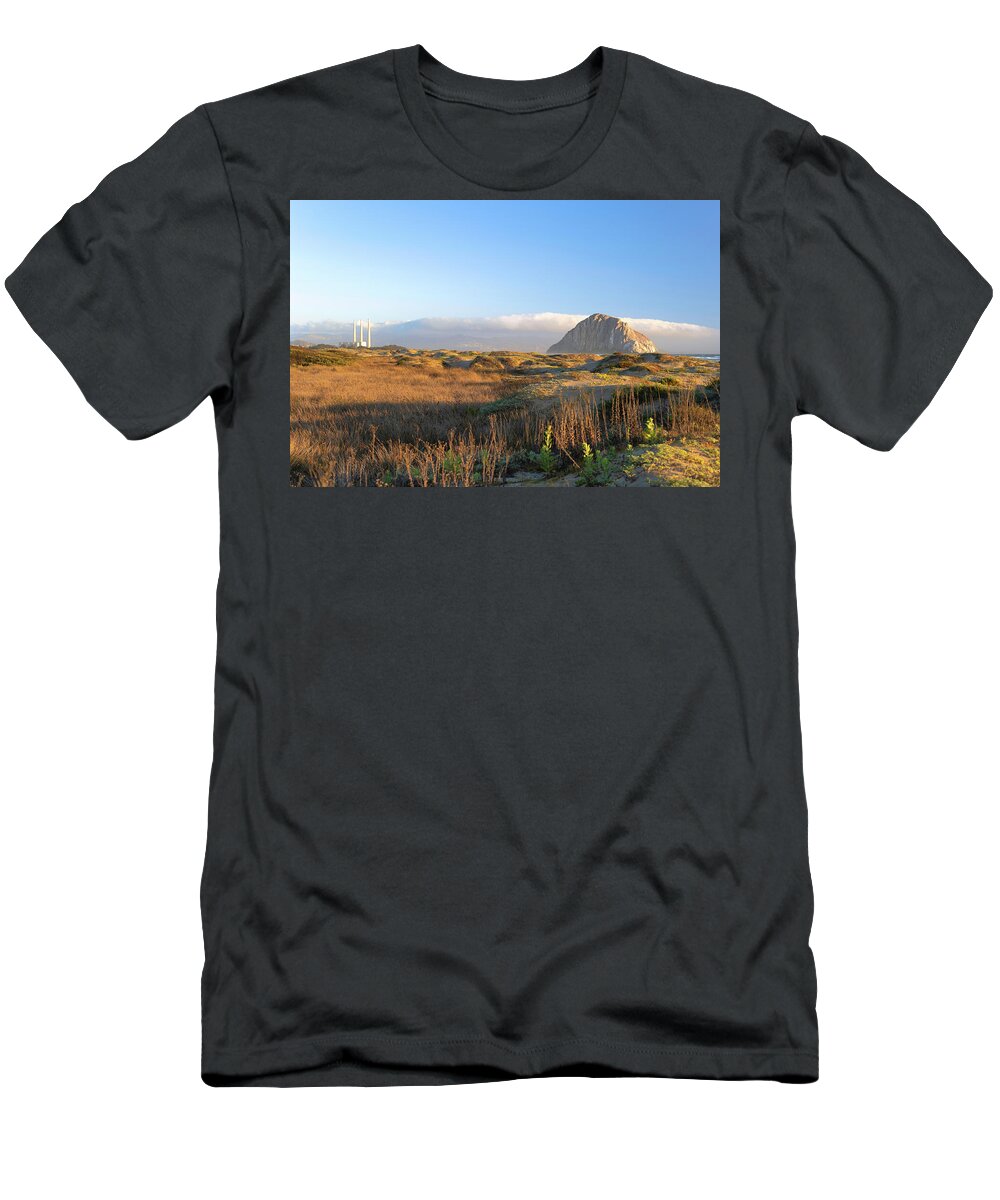 Beach T-Shirt featuring the photograph Morro Strand State Beach by Matthew DeGrushe
