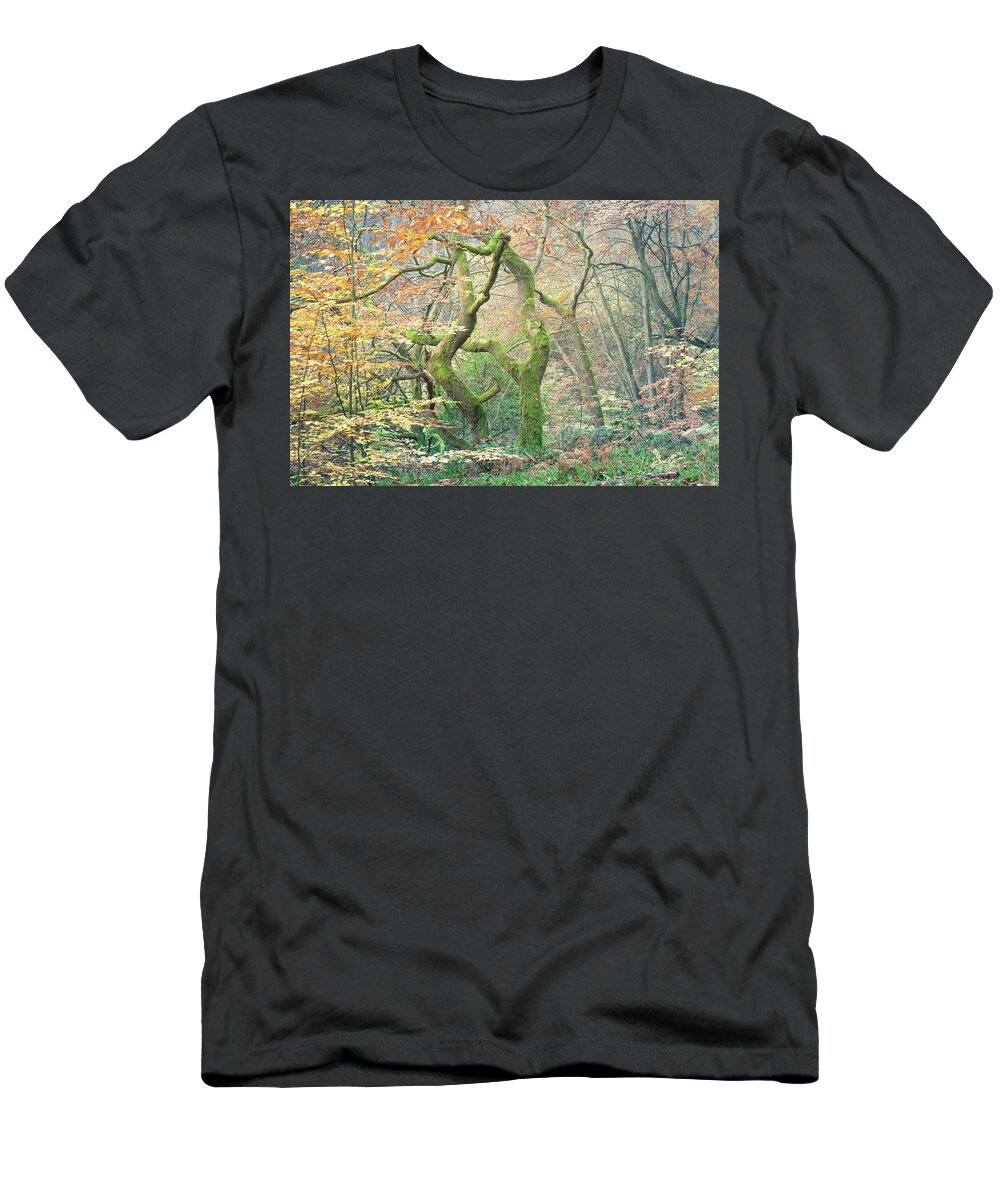 Twisted Tree T-Shirt featuring the photograph Moss covered oak tree in Autumn by Anita Nicholson