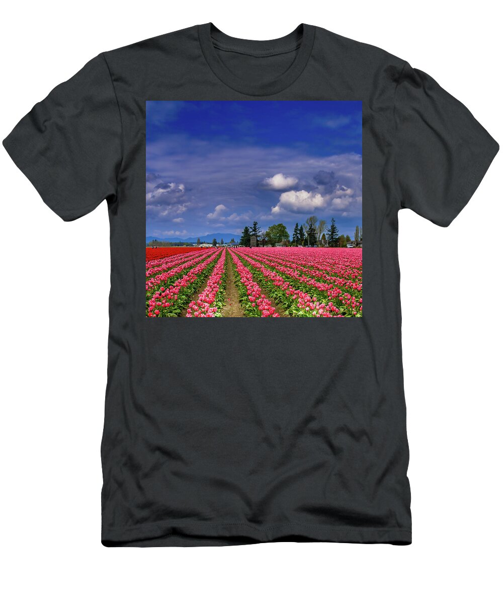 Mount Vernon Tulips T-Shirt featuring the photograph Mount Vernon Tulips by David Patterson