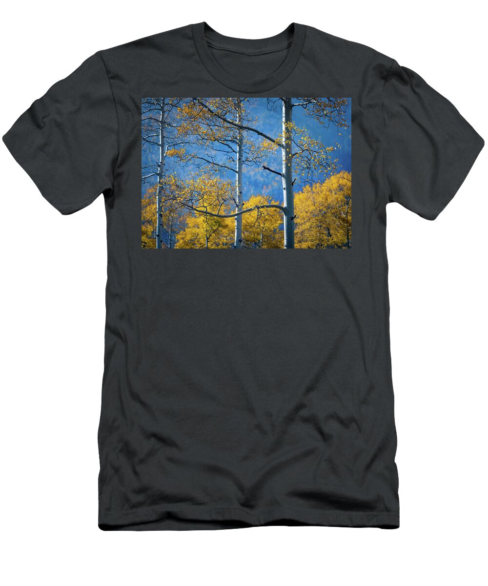 New Mexico T-Shirt featuring the photograph Mountain Air by David Downs