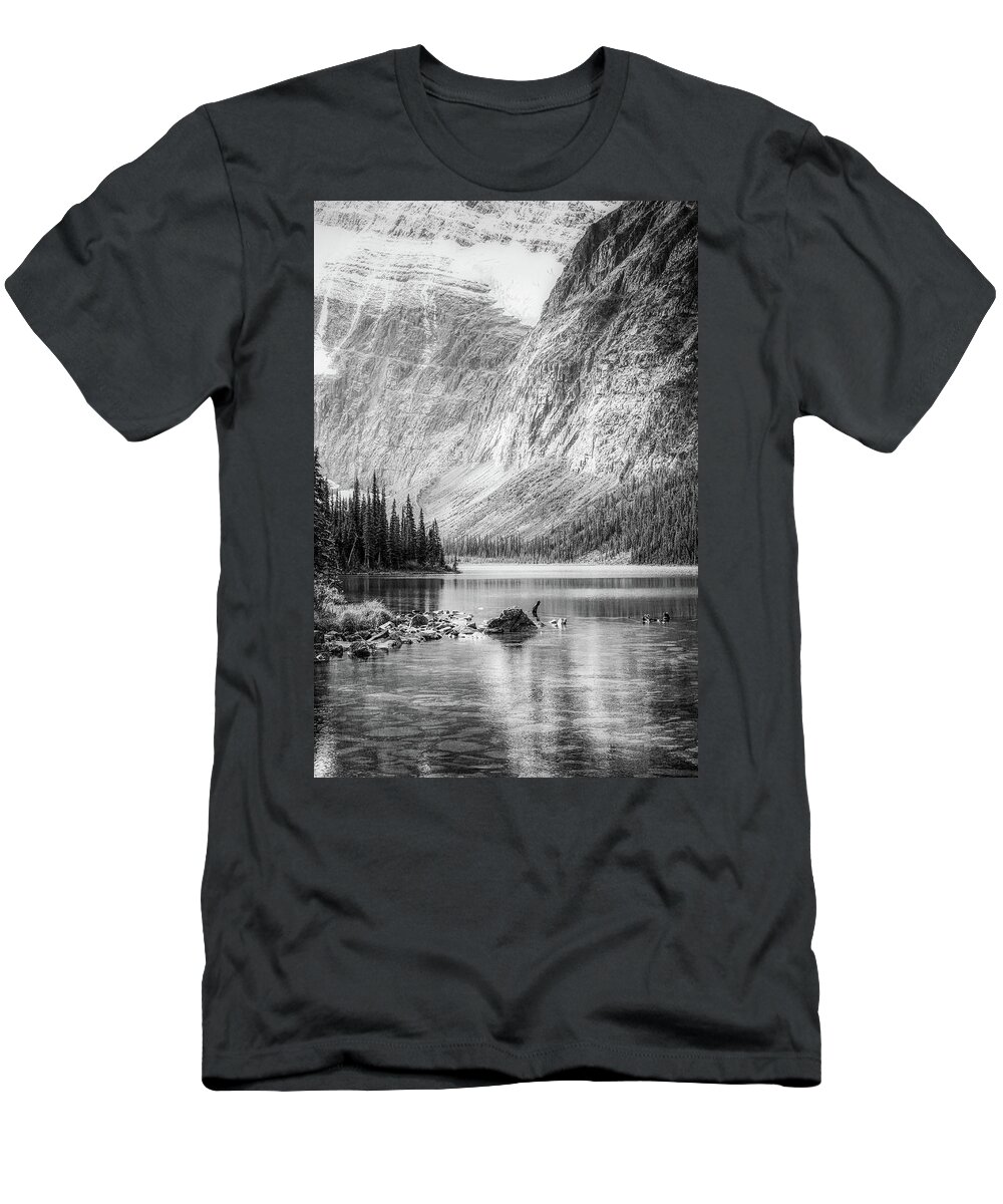Mountain Lake Vertical Panorama T-Shirt featuring the photograph Mountain Lake Vertical Panorama by Dan Sproul