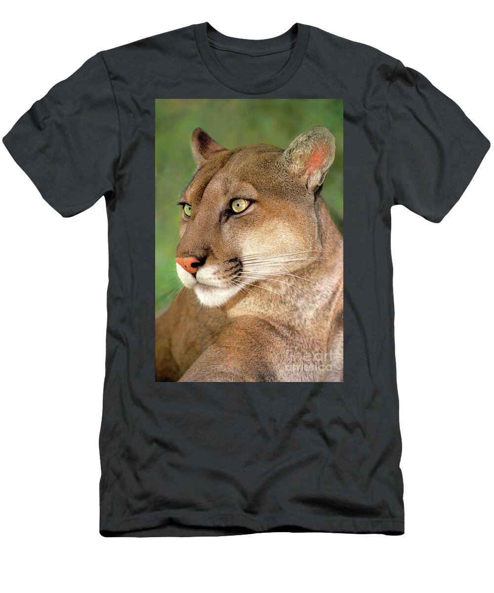 Mountain Lion T-Shirt featuring the photograph Mountain Lion Portrait Wildlife Rescue by Dave Welling