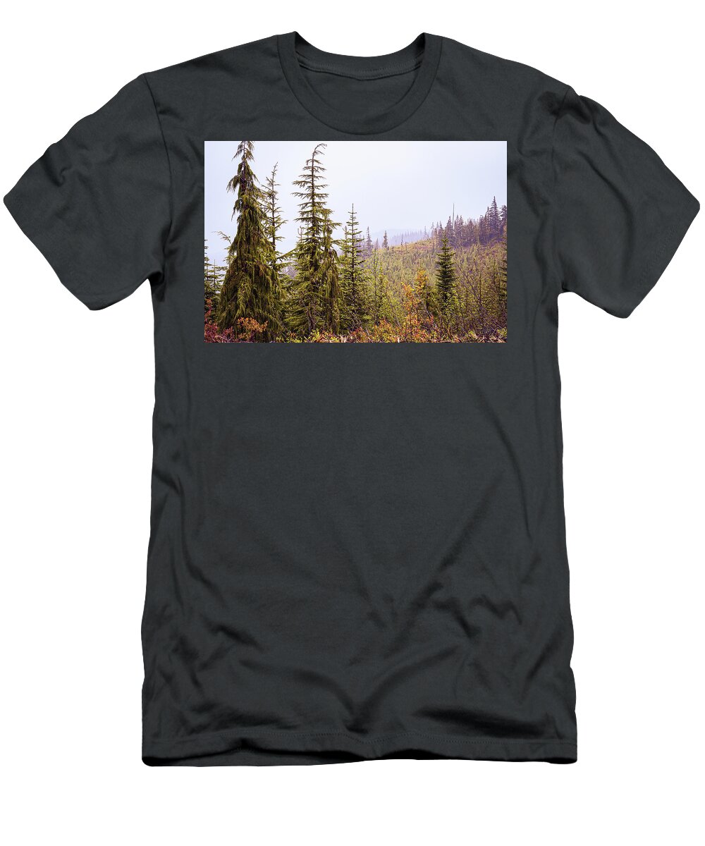 Landscapes T-Shirt featuring the photograph Mountain Mist by Claude Dalley