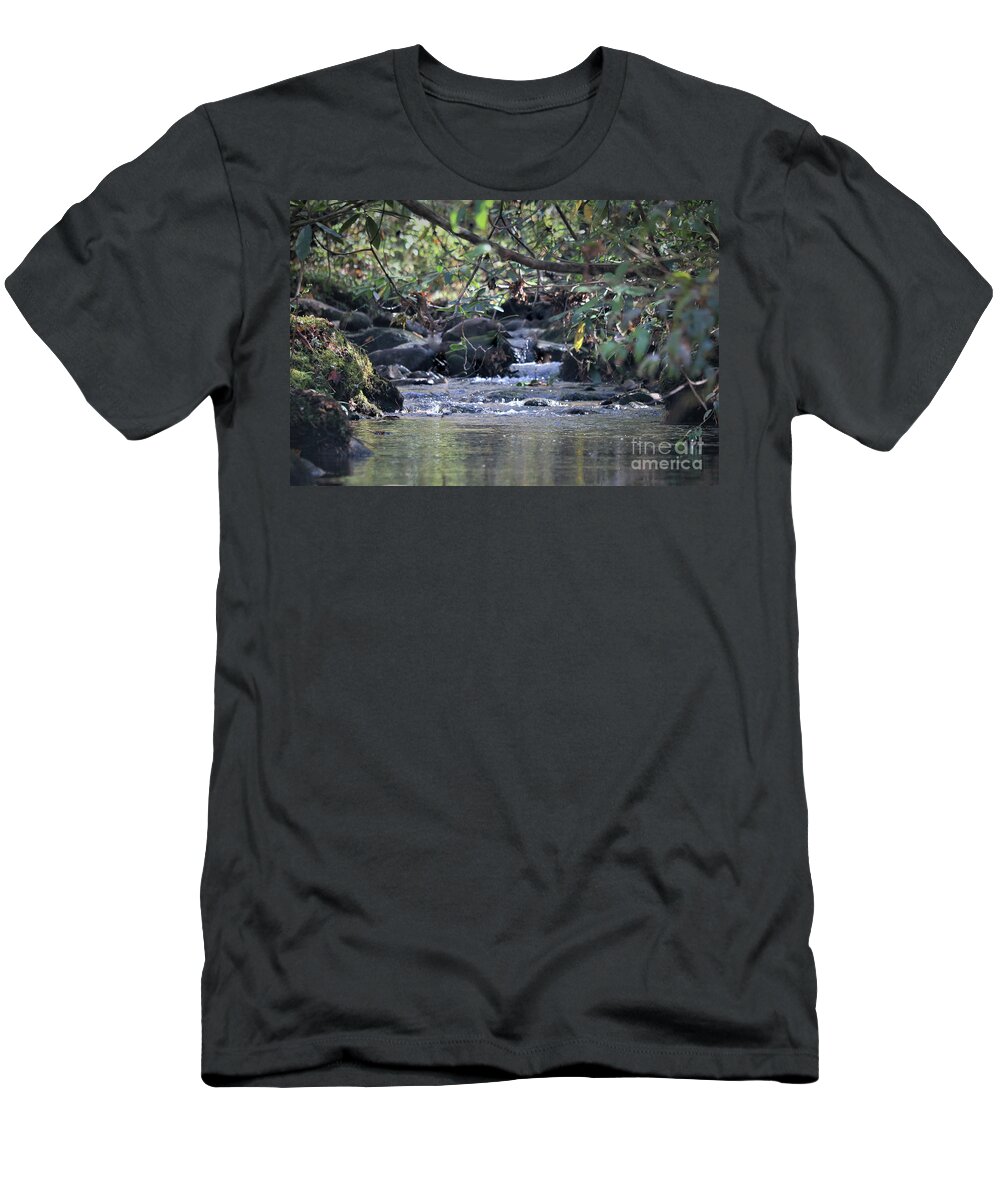 Landscape T-Shirt featuring the photograph Mountain Water , Smoky Mountains by Theresa D Williams