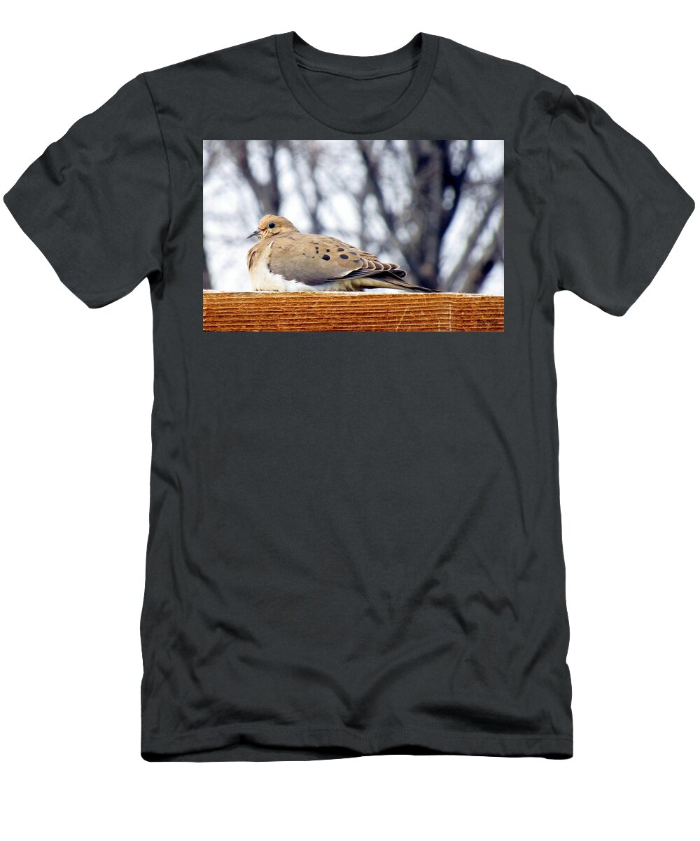 Mourning Dove T-Shirt featuring the photograph Mourning Dove by Amy Hosp