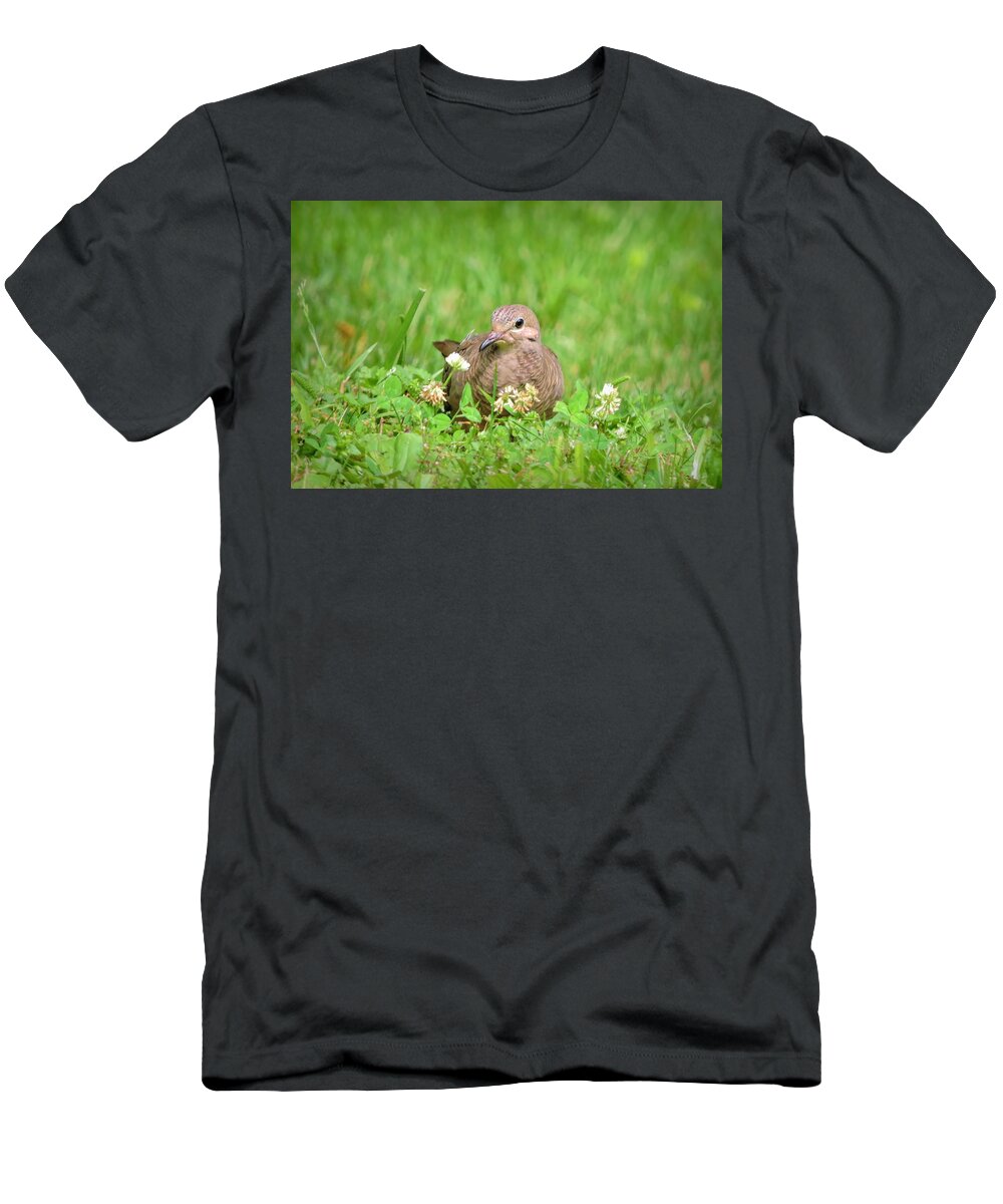 Dove T-Shirt featuring the photograph Mourning Dove by Susan Hope Finley