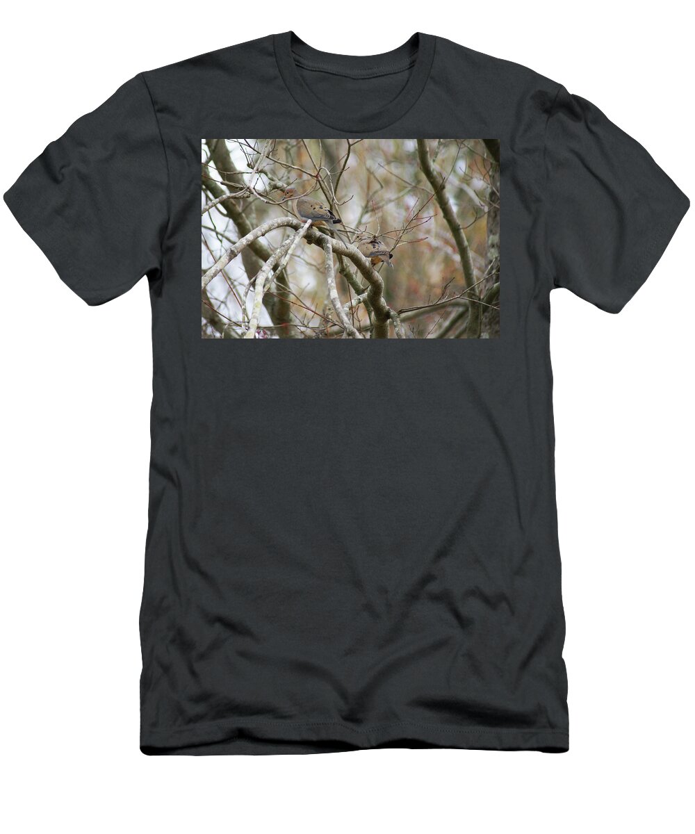  T-Shirt featuring the photograph Mourning Doves by Heather E Harman