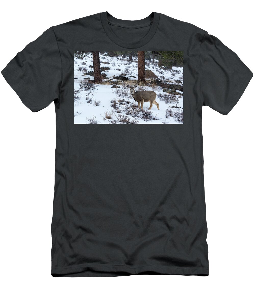 Colorado T-Shirt featuring the photograph Mule Deer - 8922 by Jerry Owens