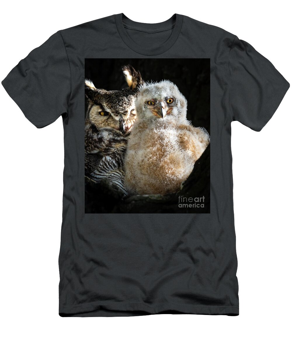 Great Horned Owl Owlet Muppet Photography Utah Wildlife Bird Mom And Baby T-Shirt featuring the photograph Muppet by Jami Bollschweiler