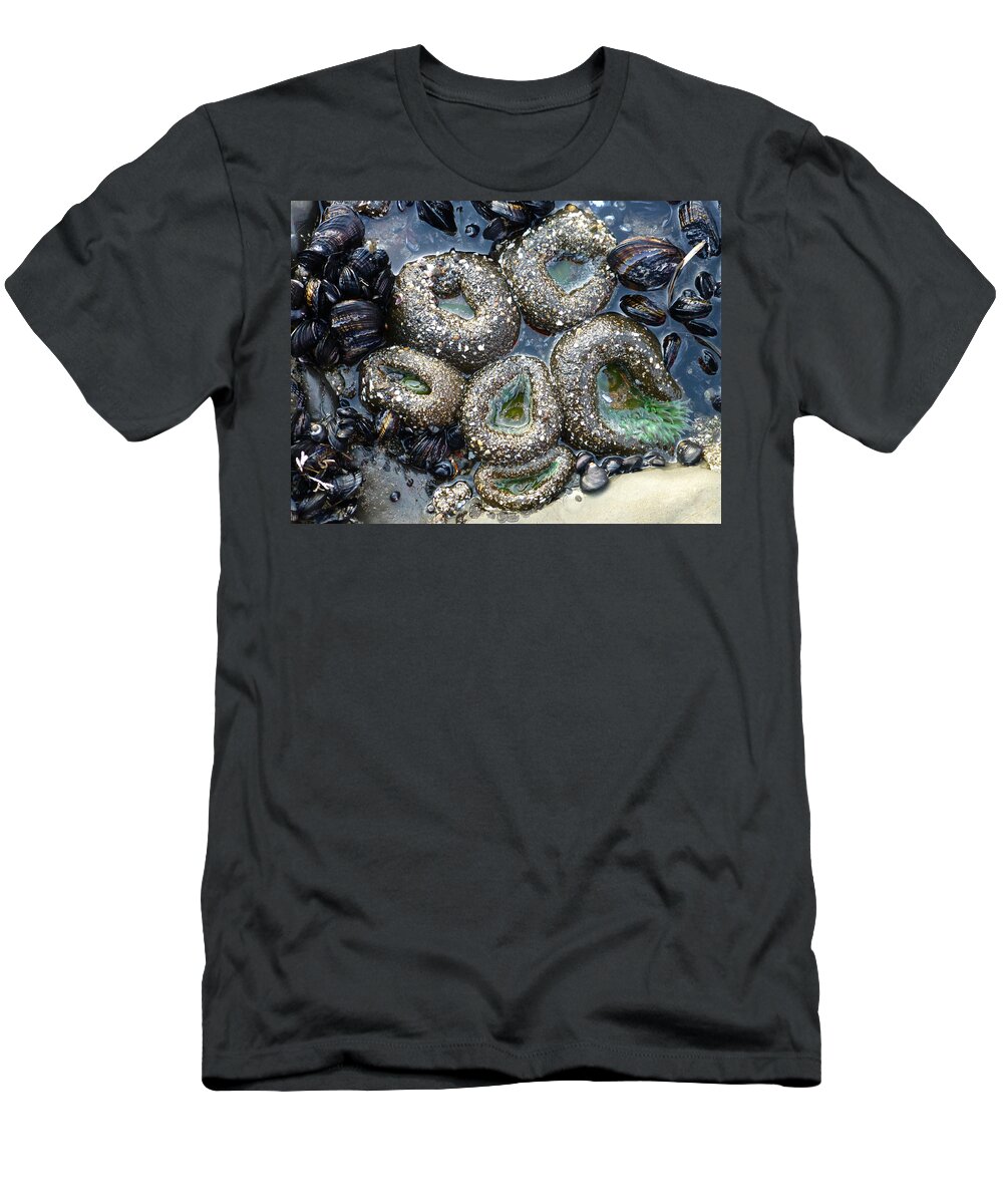 Central Coast T-Shirt featuring the photograph Mussels and Giant Green Sea Anemones by Amelia Racca