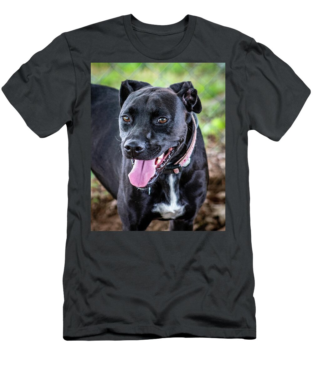 Black Dog T-Shirt featuring the photograph My Allie by Cynthia Clark