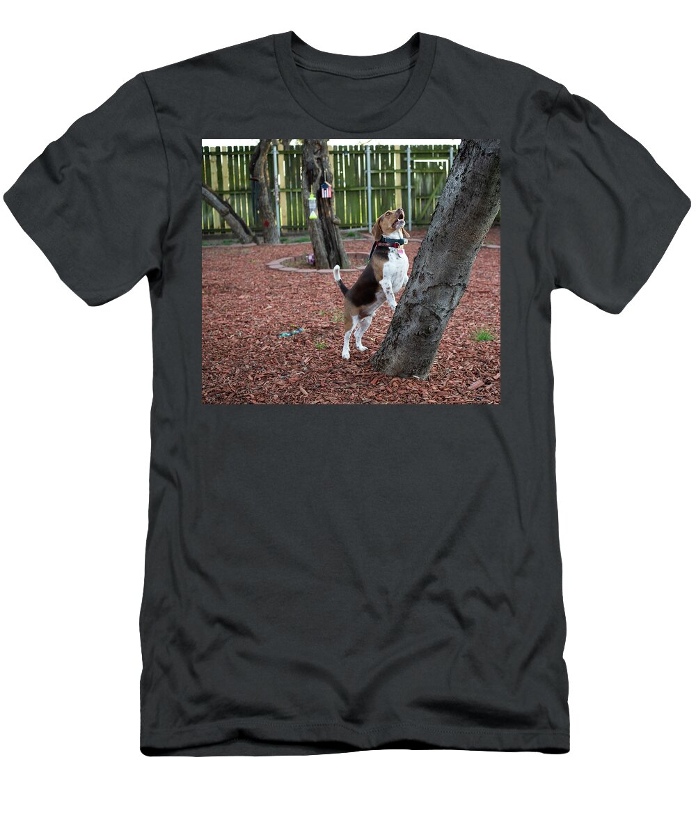 Dog T-Shirt featuring the photograph My Yard by C Winslow Shafer