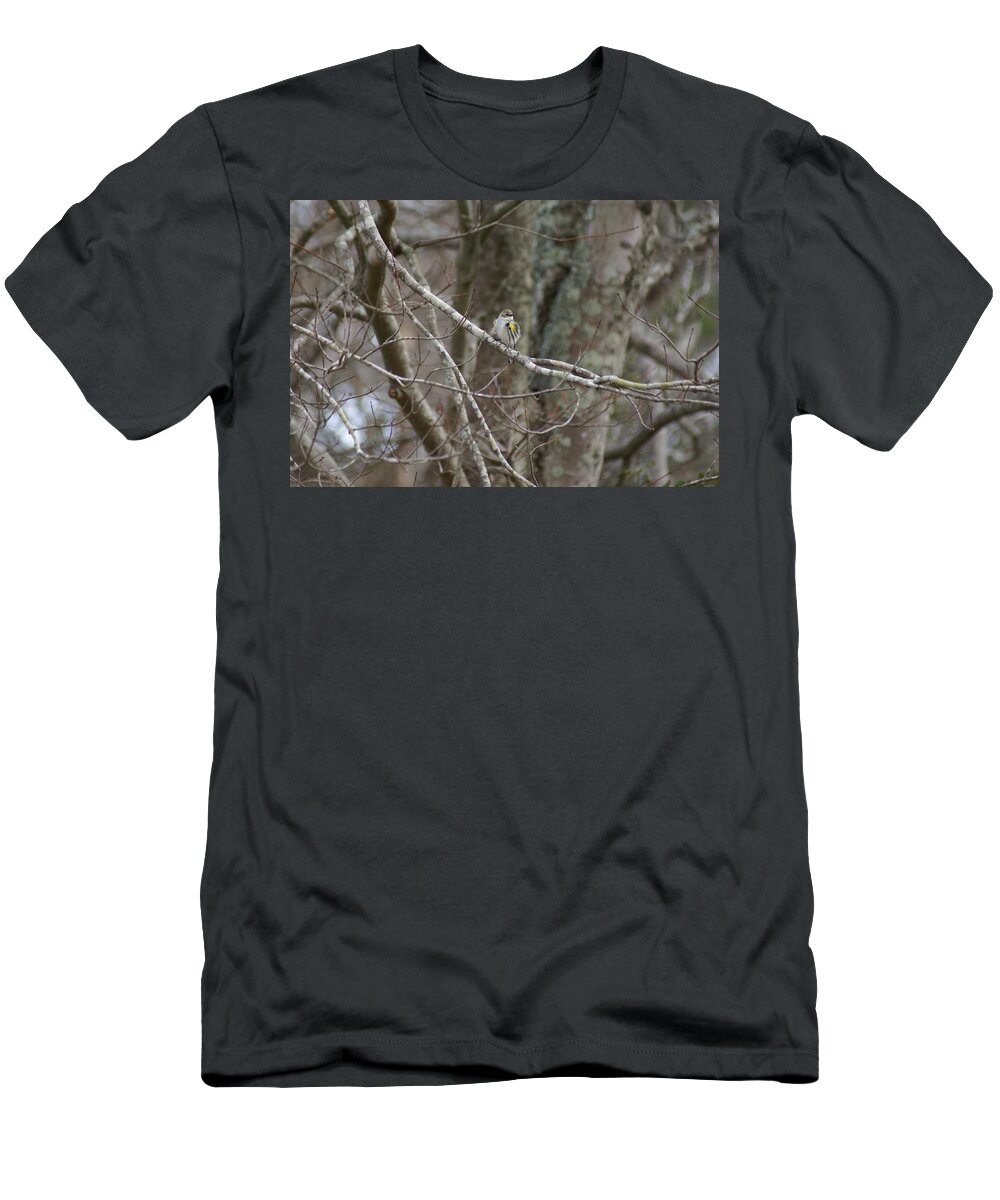  T-Shirt featuring the photograph Myrtle Warbler by Heather E Harman