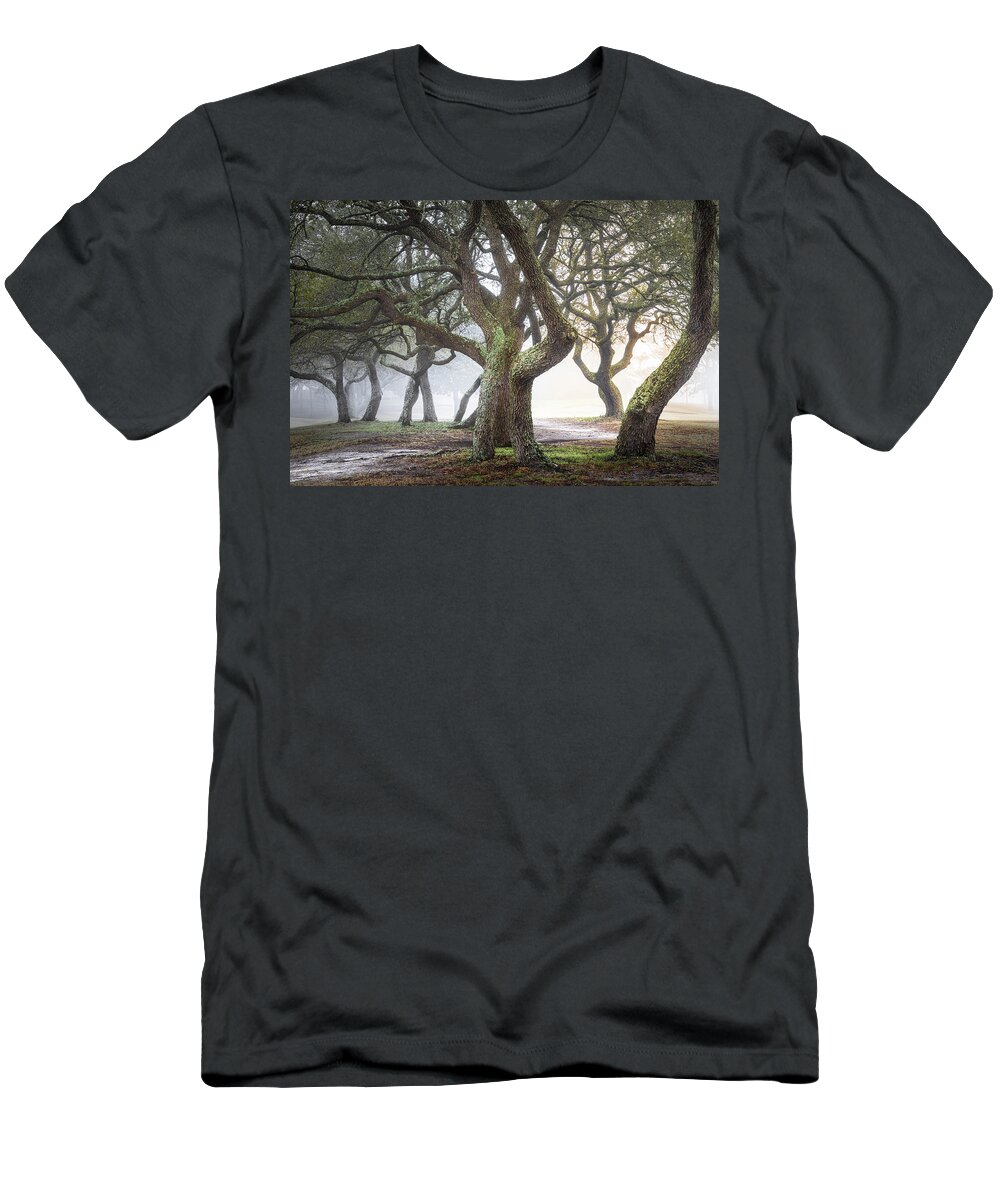 Foggy Trees T-Shirt featuring the photograph Mysterious Path by Jordan Hill