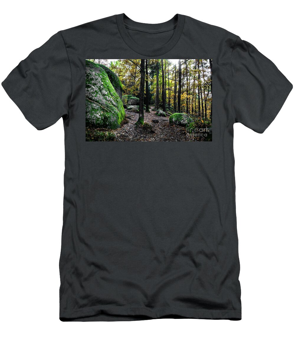 Abandoned T-Shirt featuring the photograph Mystic Landscape Of Nature Park Blockheide With Granite Rock Formations In Waldviertel In Austria by Andreas Berthold