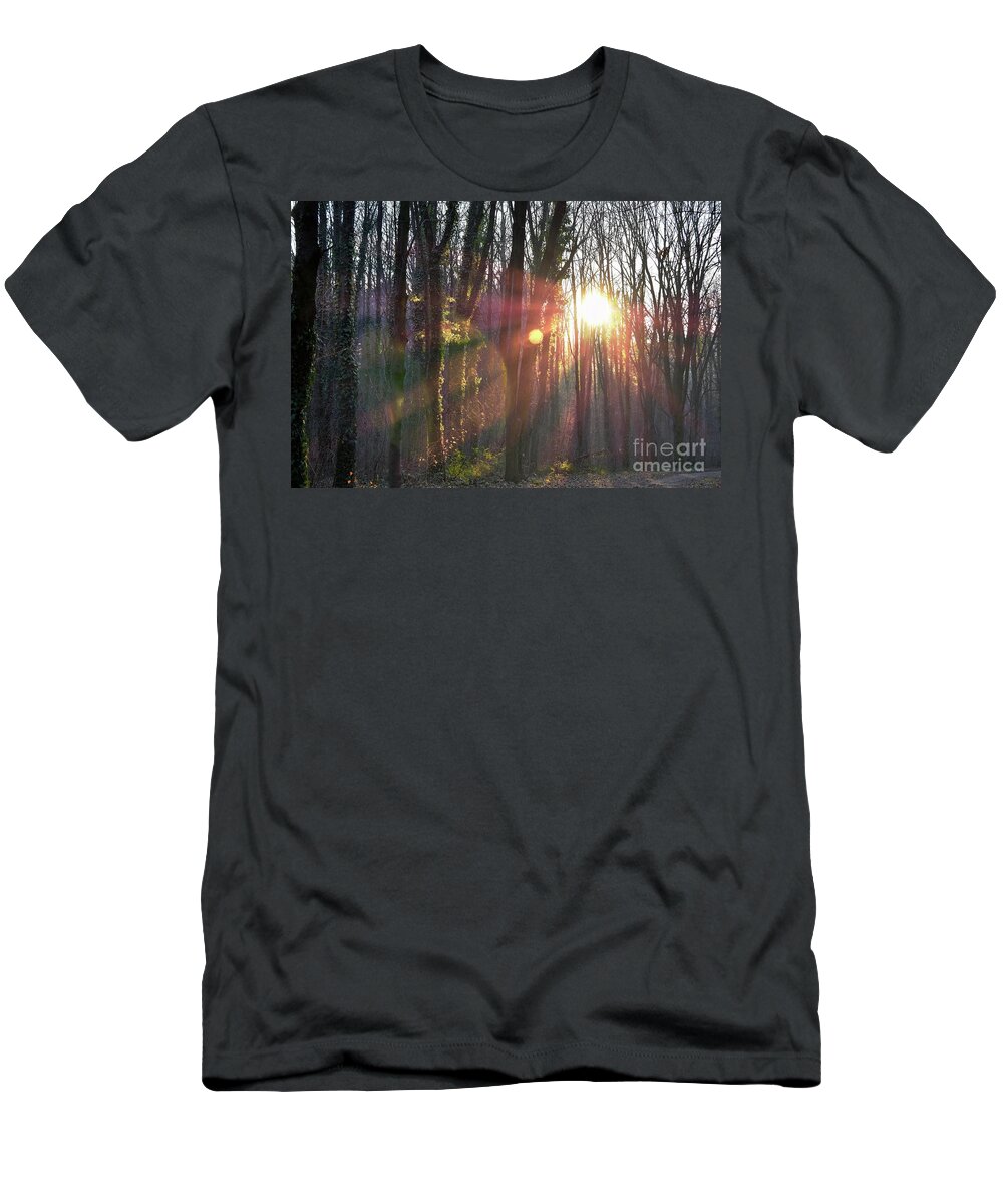 Nature T-Shirt featuring the photograph Mystical Forest And Sun's Rays by Leonida Arte