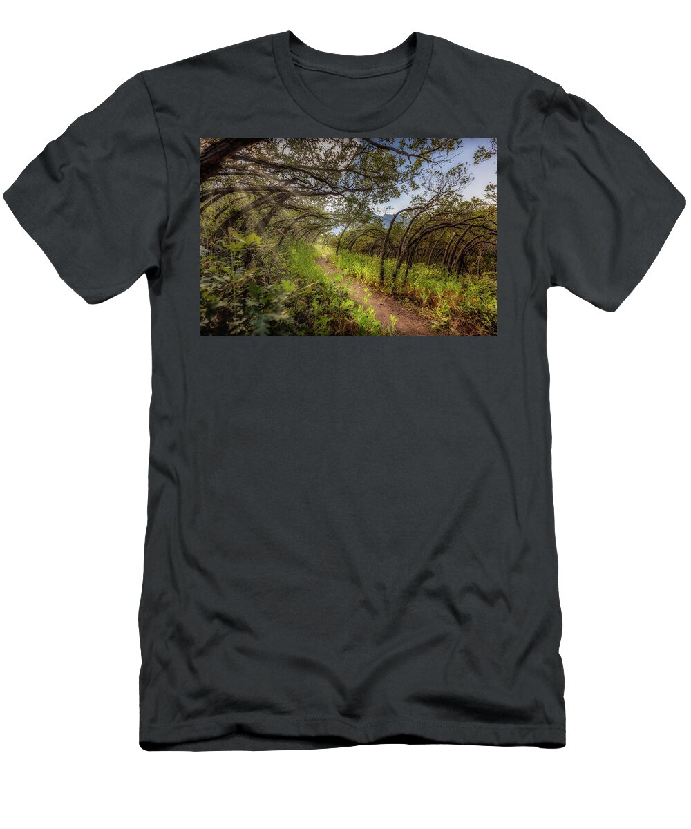 Woods T-Shirt featuring the photograph Mystical Worshipping Woods by Bradley Morris