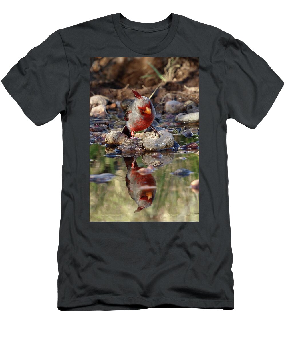 Pyrrhuloxia T-Shirt featuring the photograph Narcissus by Steve Wolfe