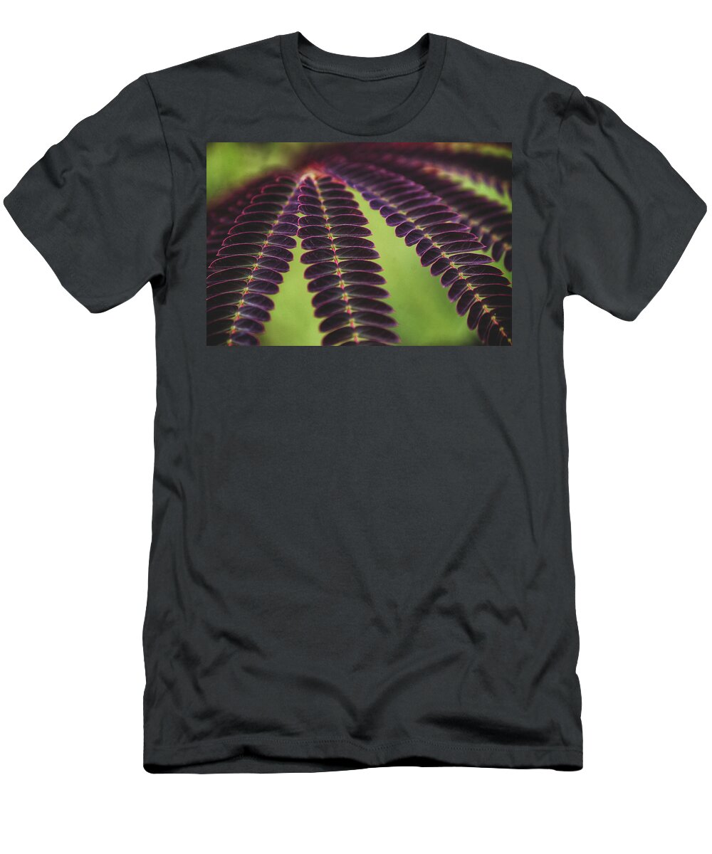 Mountain T-Shirt featuring the photograph Natural Patterns by Go and Flow Photos