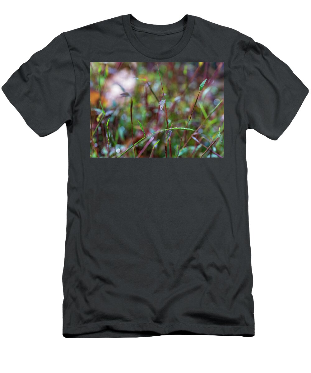 Fall T-Shirt featuring the photograph Nature Photography - Fall Grass by Amelia Pearn