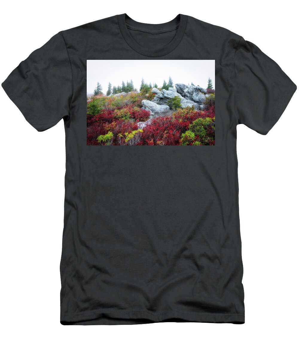  T-Shirt featuring the photograph Nature's Autumn Sculpture by C Renee Martin