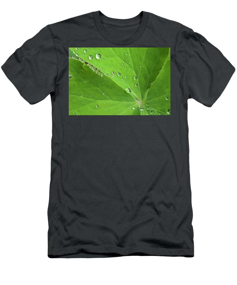 Flora T-Shirt featuring the photograph Nature's Beading by Melissa Southern
