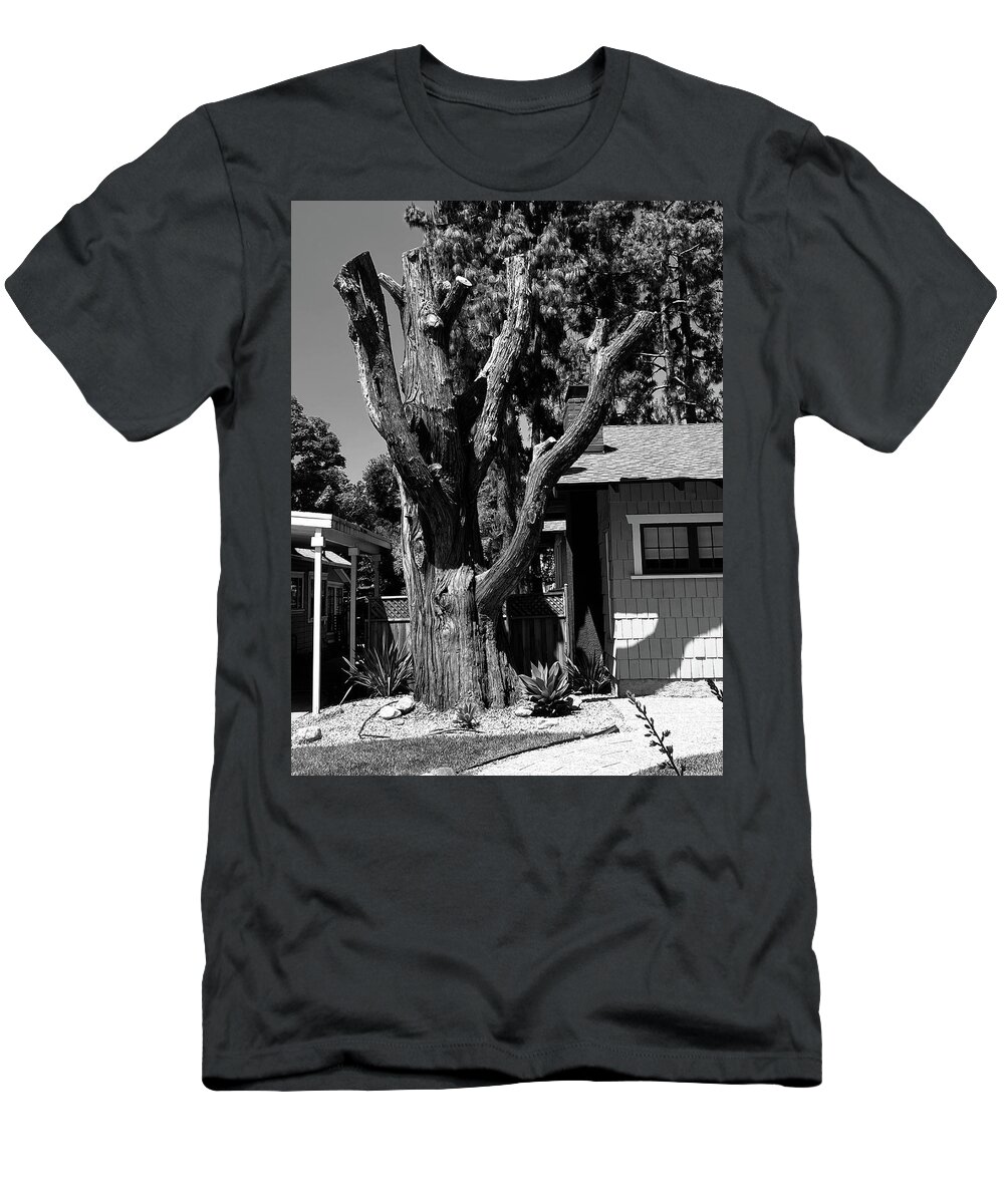Tree T-Shirt featuring the photograph Nature's Sculpture by Calvin Boyer