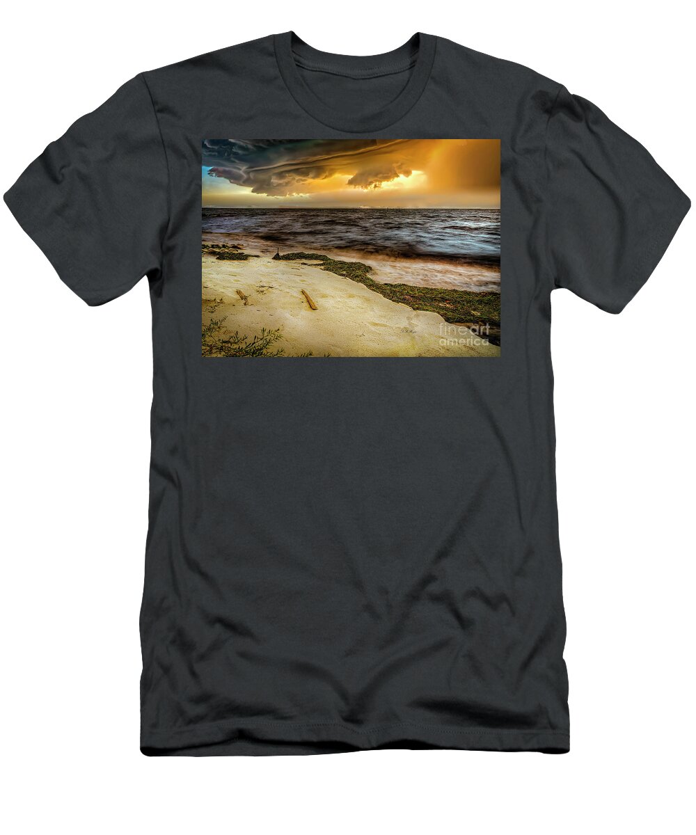 Nature T-Shirt featuring the photograph Nature's Spectacle by DB Hayes