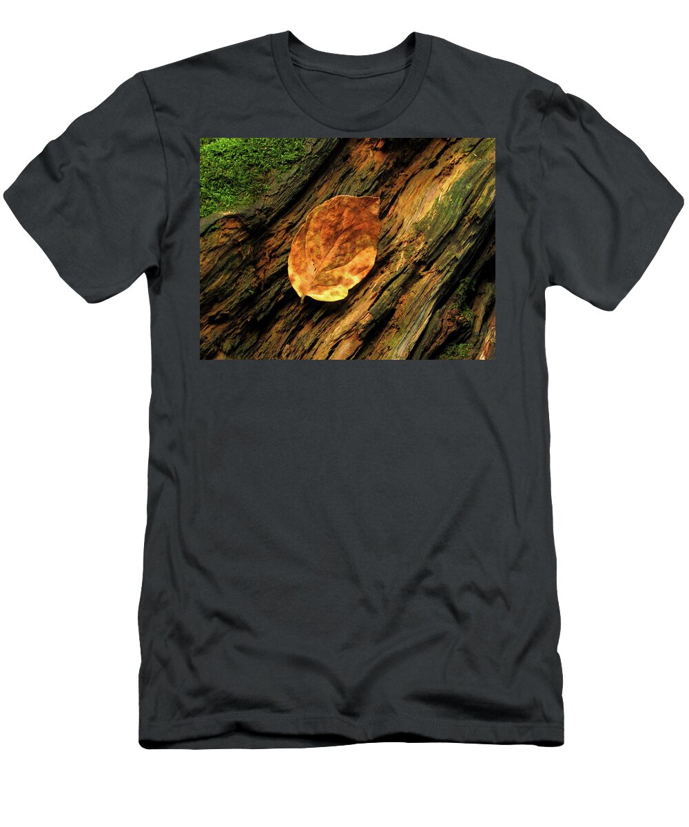 Moss T-Shirt featuring the photograph Nature's Textures by Lens Art Photography By Larry Trager