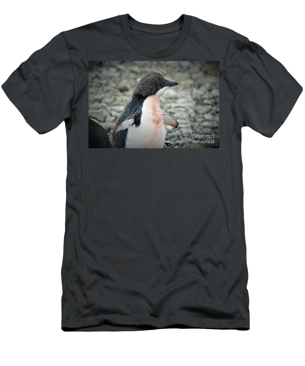 Adelie Penquin Antarctica T-Shirt featuring the photograph New Adelie by Darcy Dietrich