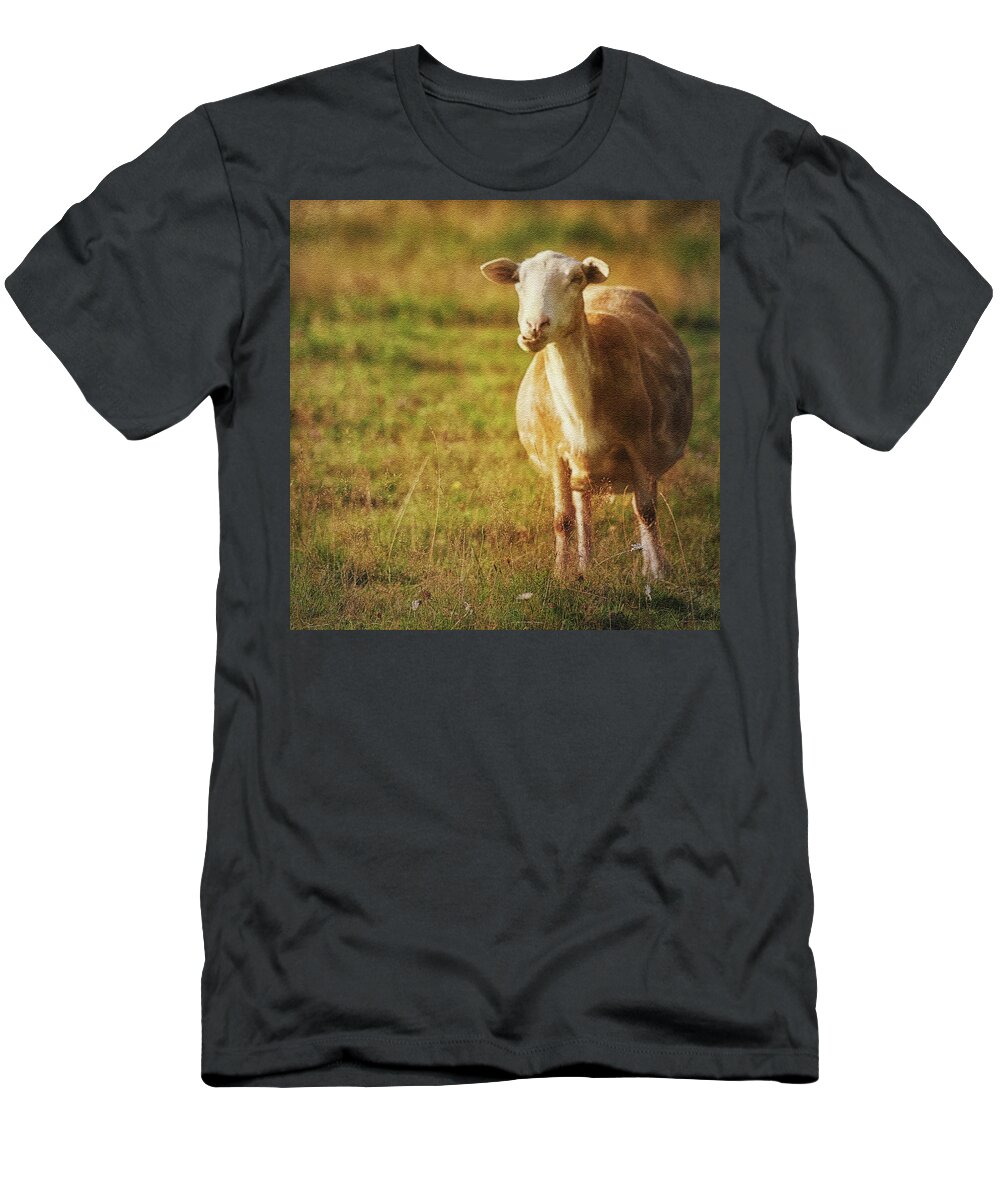 Sheep T-Shirt featuring the photograph Newfie by Tatiana Travelways