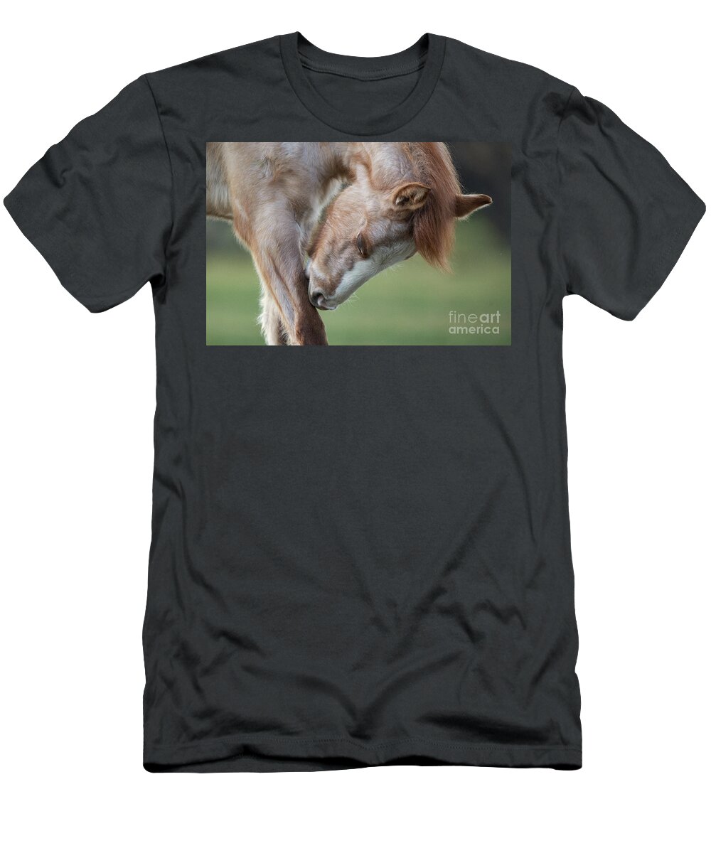 Cute Foal T-Shirt featuring the photograph Nibble by Shannon Hastings