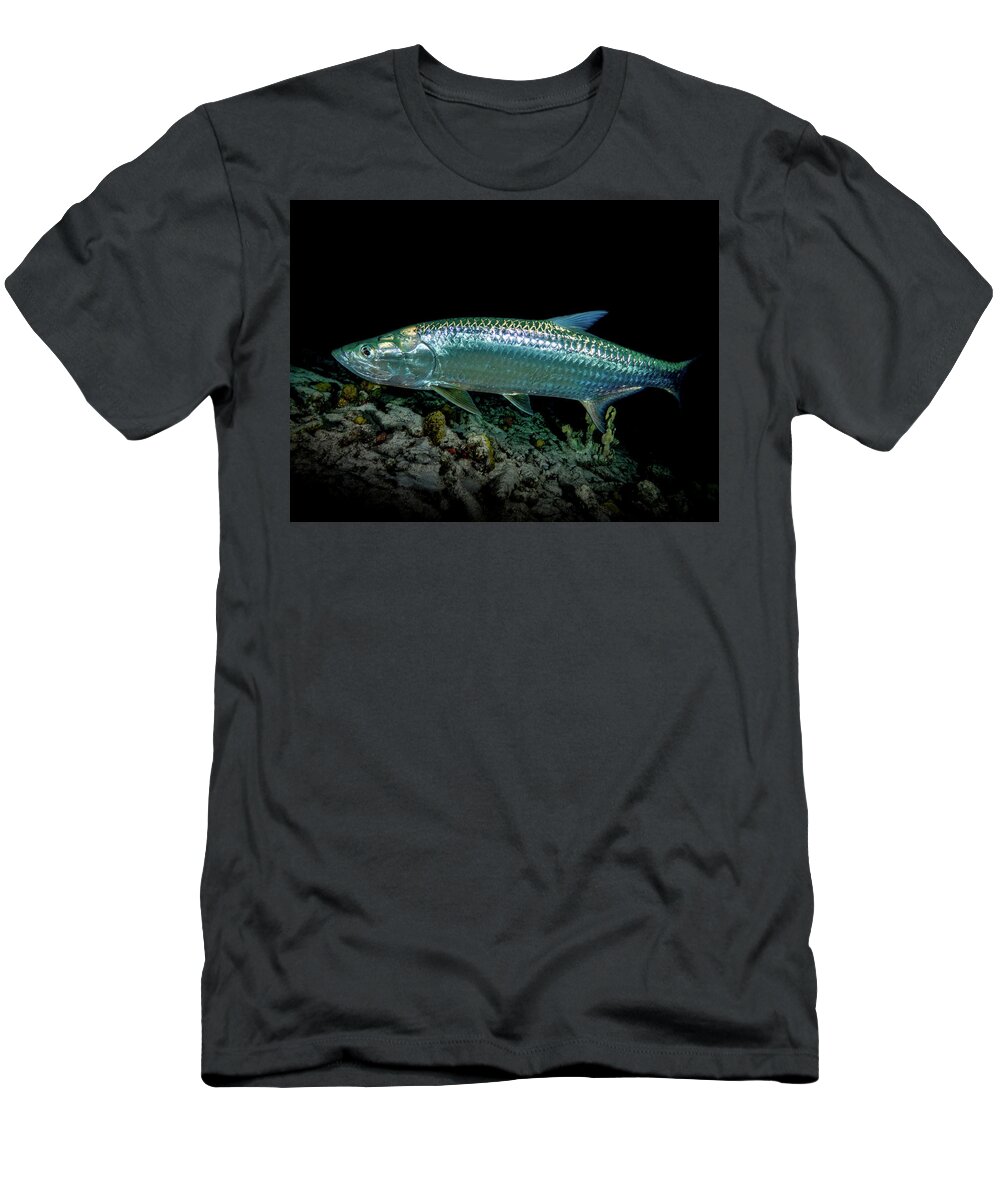 Night Tarpon T-Shirt by Ryan Nelson - Pixels