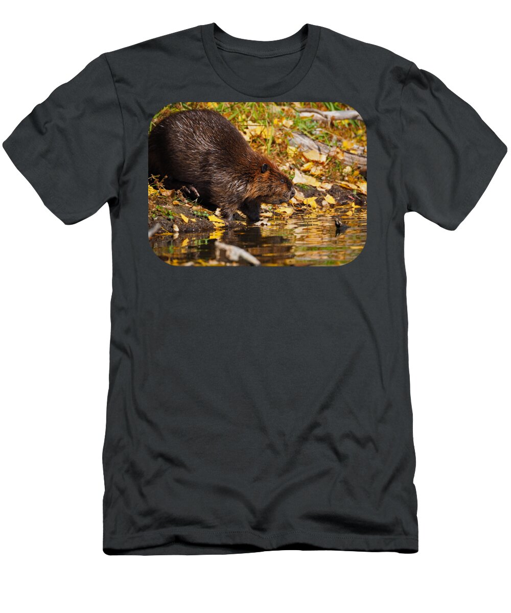 Peterson Nature Photography T-Shirt featuring the photograph North American Beaver by James Peterson