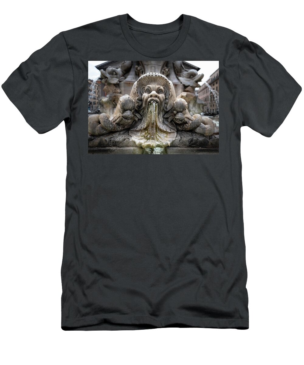 Face T-Shirt featuring the photograph North Face Fontana del Pantheon by David Downs