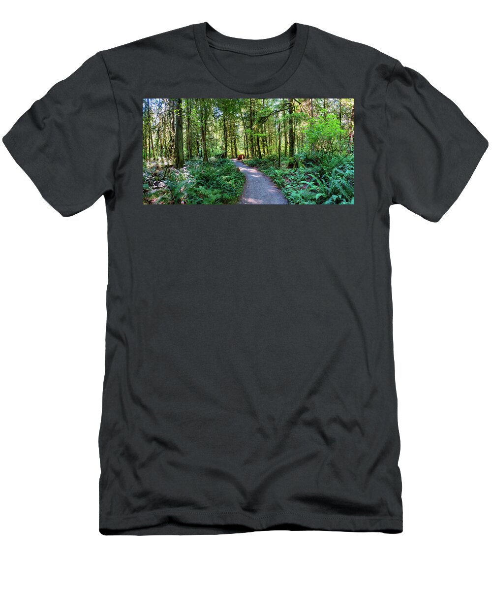 Trees And Forests T-Shirt featuring the photograph North Loop Trail by Larey McDaniel