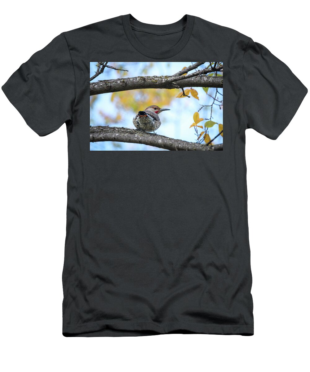 Northern Flicker Cross T-Shirt featuring the photograph Northern Flicker Cross by Debra Martz
