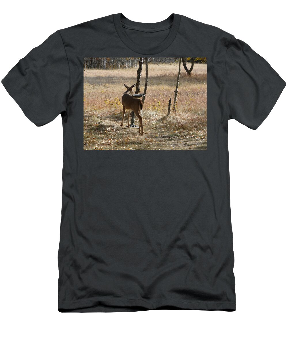 Deer T-Shirt featuring the photograph Not Just for the Birds by Ruth Kamenev