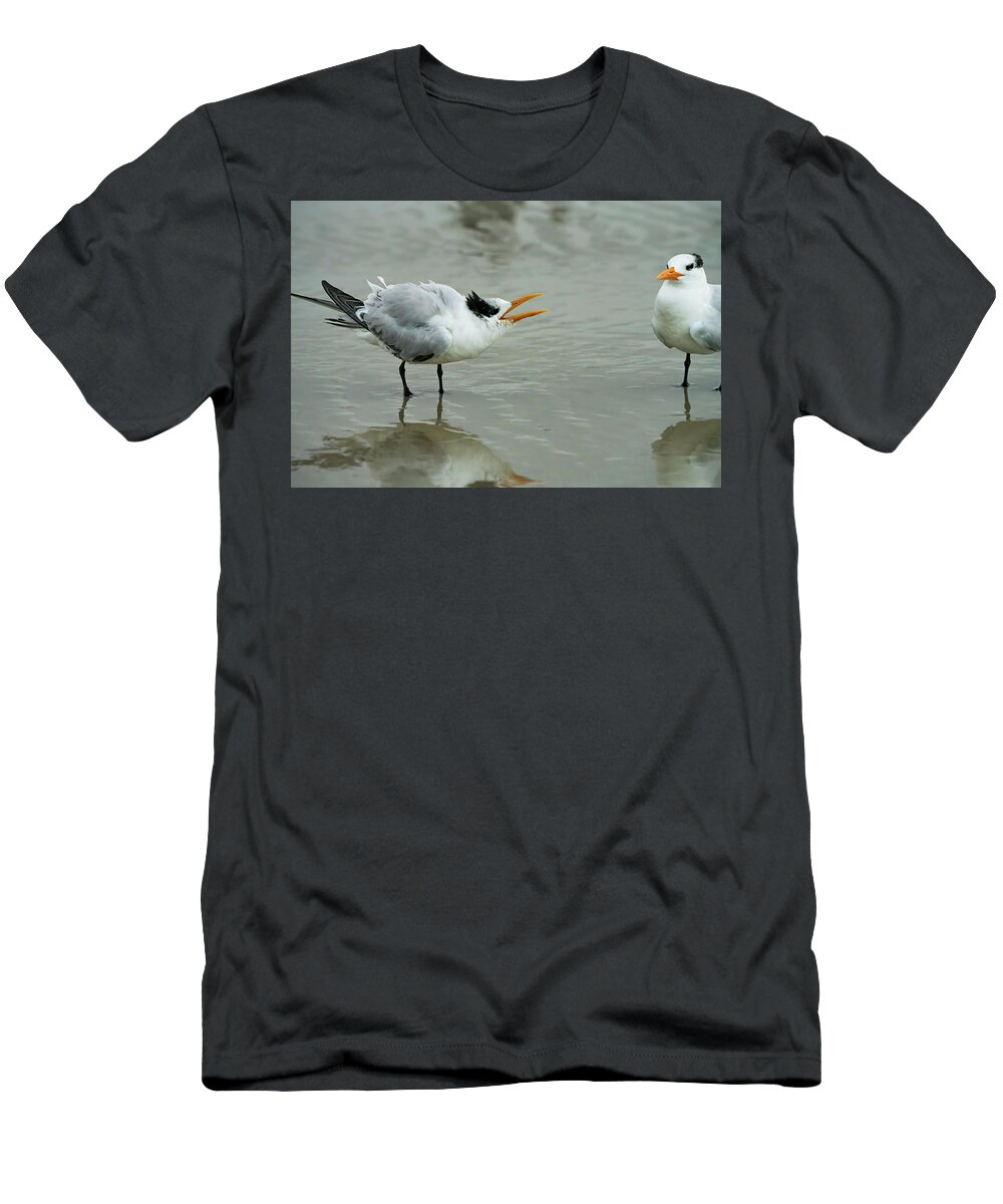 Huguenot T-Shirt featuring the photograph Not Your Tern by Todd Tucker