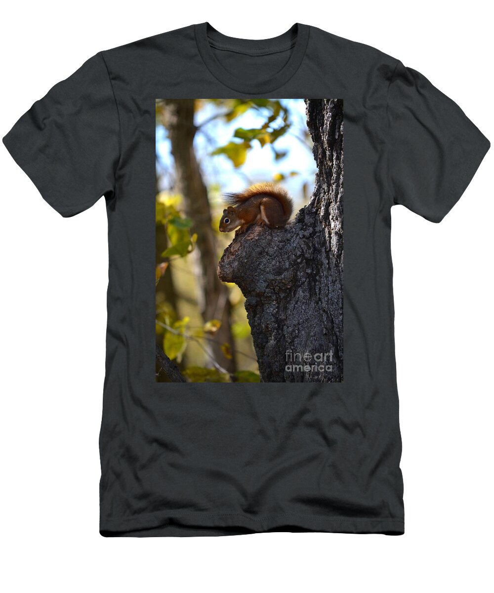Nature T-Shirt featuring the photograph Now What? by Deb Halloran