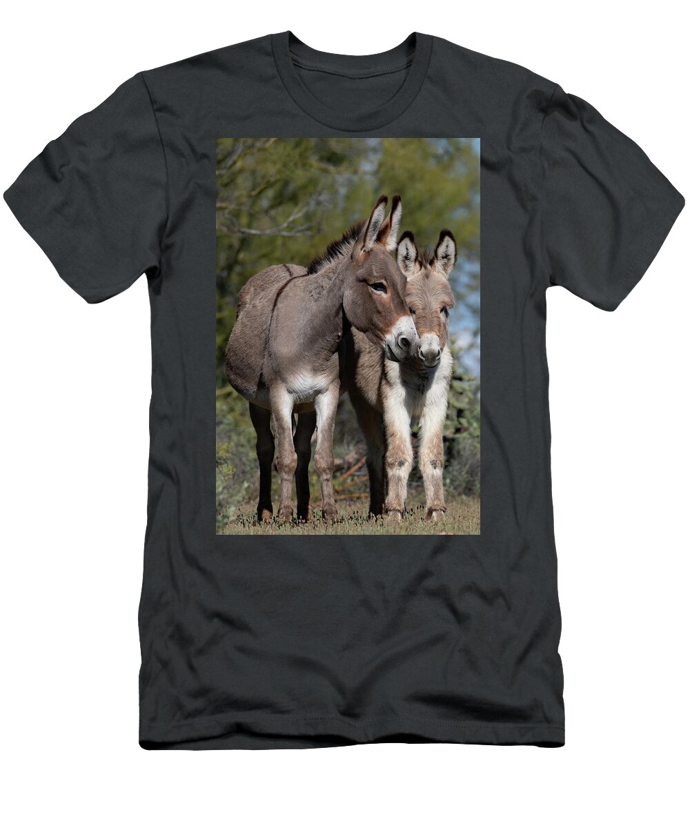 Wild Burros T-Shirt featuring the photograph Nuzzles by Mary Hone