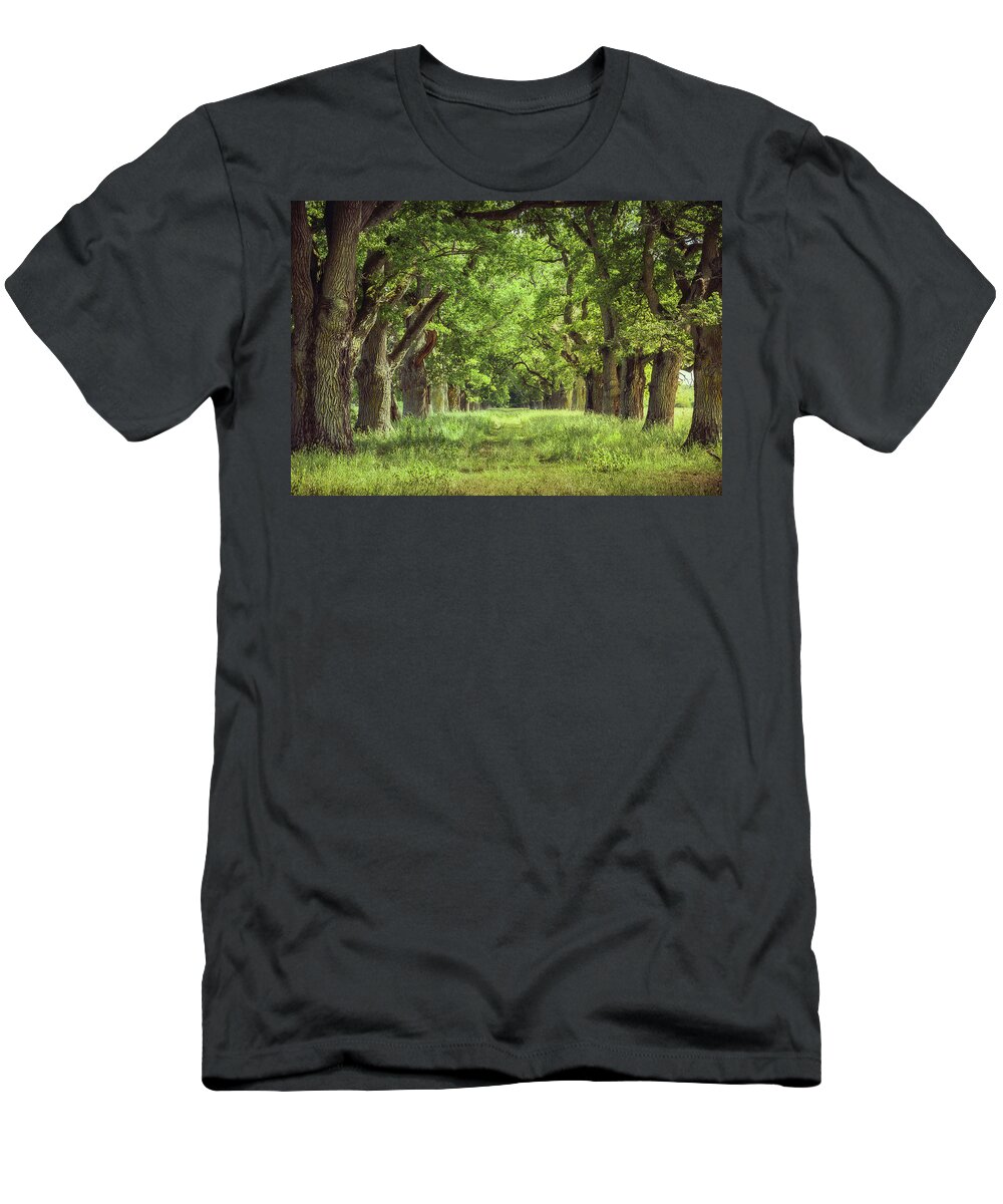Oak T-Shirt featuring the photograph Oak Tree Alley by Nicklas Gustafsson