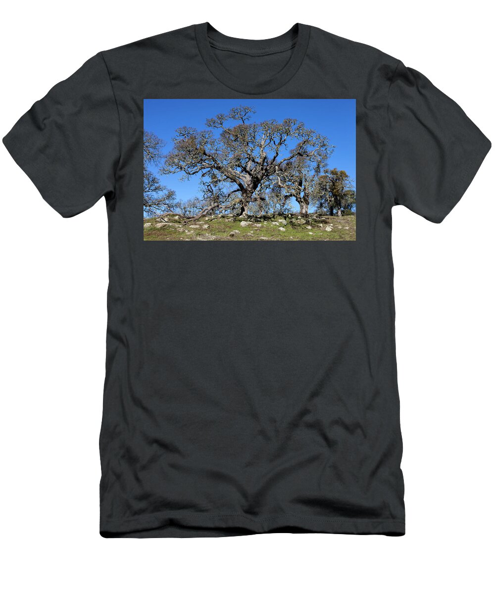 Tree T-Shirt featuring the photograph Oak Tree and Rocks by Rick Pisio