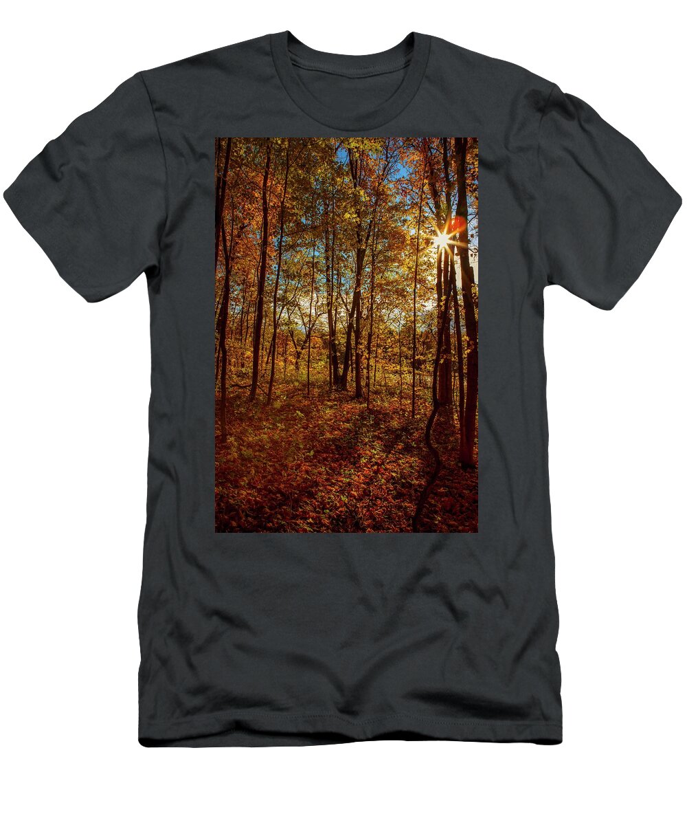 Moraine St Pk T-Shirt featuring the photograph October Lakeside Lights by Ray Silva